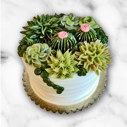 Succulent Cake