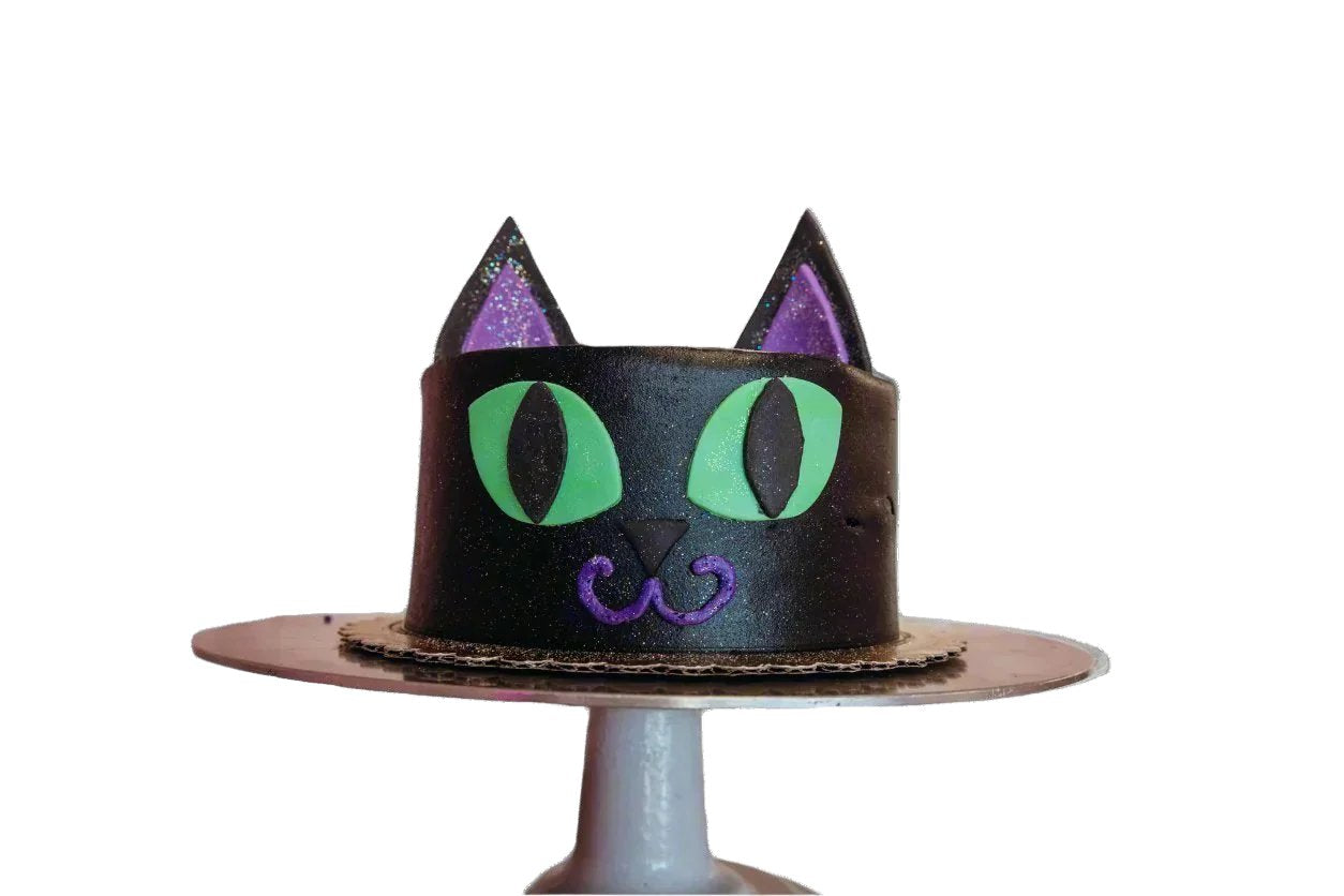 Spooky Black Cat